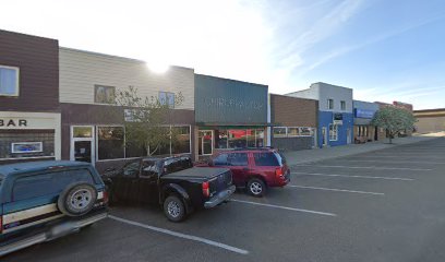 Hanson Chiropractic Office - Pet Food Store in Hettinger North Dakota