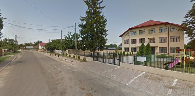 Şcoala Gimnazială Mihai Eminescu Bradu - <nil>