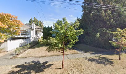 Hands To Paws Animal Massage