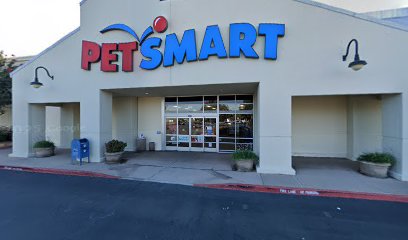PetSmart Dog Training