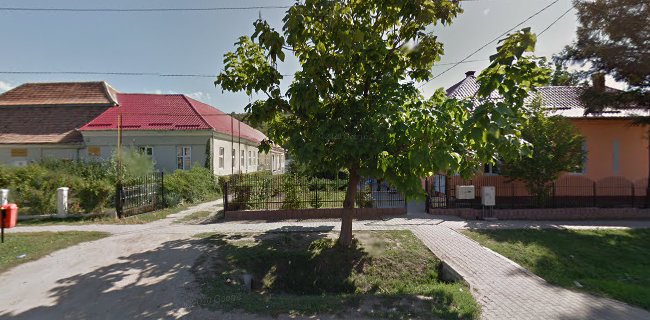 Opinii despre Școala Gimnazială Ion Bianu în <nil> - Școală