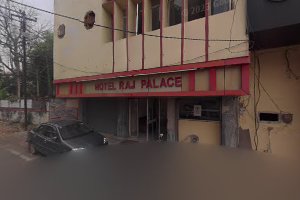 Hotel Raj palace image