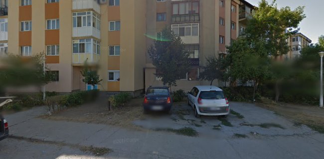 Strada Brazda lui Novac 215, Craiova, România