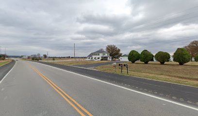 Van Ommen Chiropractic - Pet Food Store in Independence Kansas