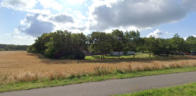 Anmeldelser af Anders Munch Anlægsgartner ApS i Rønne - Andet