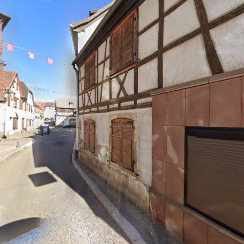 Dernieres nouvelles d'Alsace D.N.A à Molsheim
