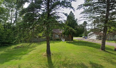 Dog Grooming-Missie Peterman