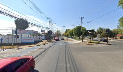 Linea 8 Iansa - Avellano
