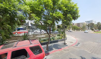 Ortho City Tijuana