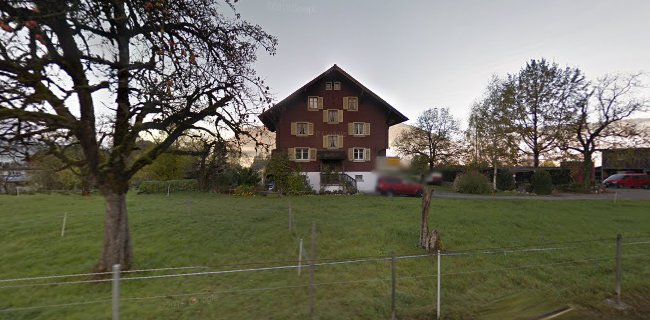 Rezensionen über BaumZeit Kempf in Schwyz - Gartenbauer