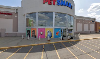 PetSmart Grooming
