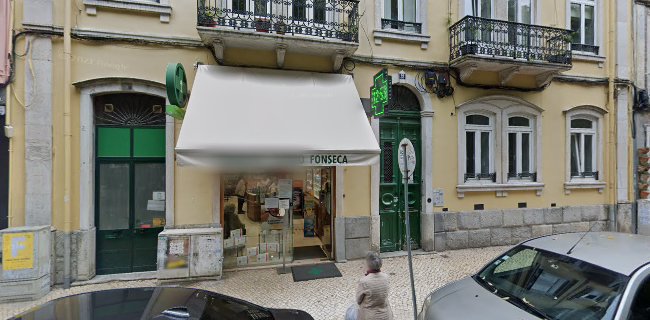 Castro Fonseca - Lisboa
