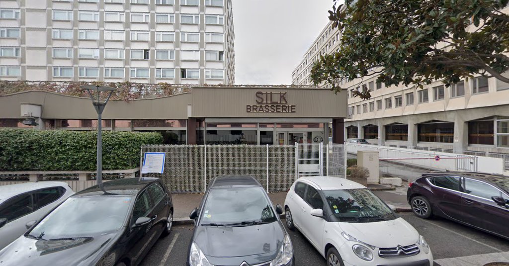 Silk Brasserie à Lyon