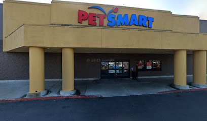 PetSmart Dog Training