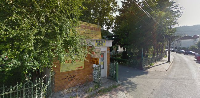 Comentarii opinii despre Școala De Șoferi Festina Lente Piatra Neamț