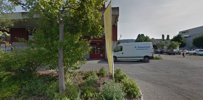 Rezensionen über Samen Höhener AG in Herisau - Gartenbauer