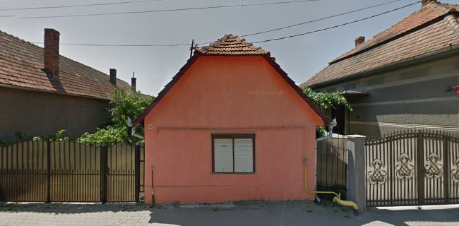 Strada Decebal 105, Teiuș 515900, România