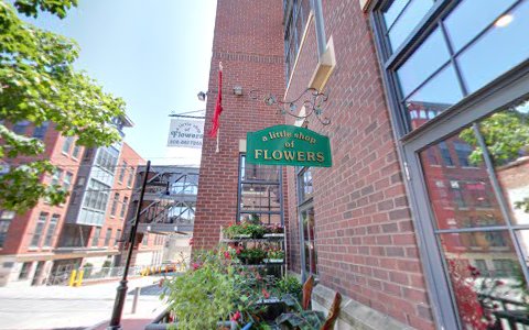 Florist «Little Shop of Flowers», reviews and photos, 2421 18th St NW, Washington, DC 20009, USA
