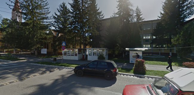 Liceul Teoretic Buziaș - <nil>