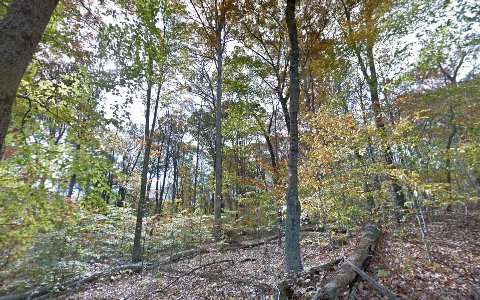 Nature Preserve «Trevlac Bluffs Nature Preserve», reviews and photos, IN-45, Nashville, IN 47448, USA