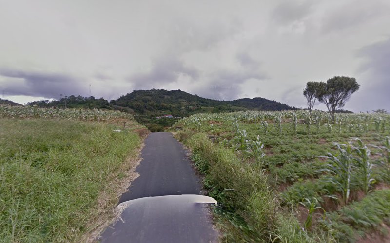 Menjelajahi Keindahan Area Mendaki di Kota Tomohon: TomohonMinahasaVolcanoTrip dan L^antaku