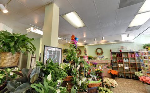 Florist «Gidas Flowers», reviews and photos, 3719 Forbes Ave, Pittsburgh, PA 15213, USA