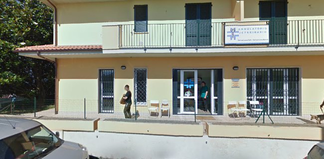 Recensioni di Ambulatorio laura mancini a Castelfranco di Sotto - Veterinario