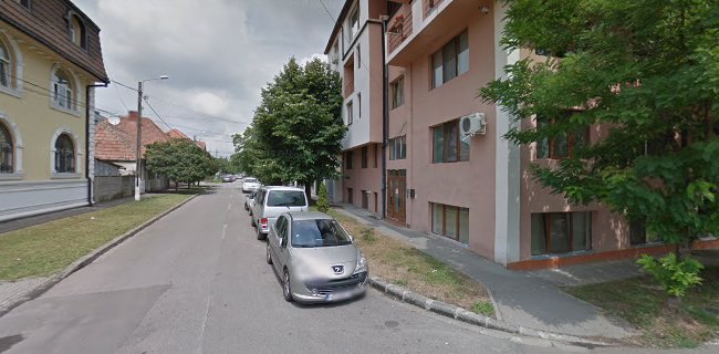 Strada Geneva 1, Timișoara 300129, România
