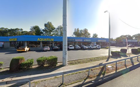 Tropical Fish Store «Caribbean Blue Aquatics Inc», reviews and photos, 1756 Sunrise Hwy, Bay Shore, NY 11706, USA