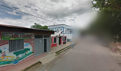 CENTRO EDUCATIVO GIMNASIO PEDAGóGICO LOS COLONOS