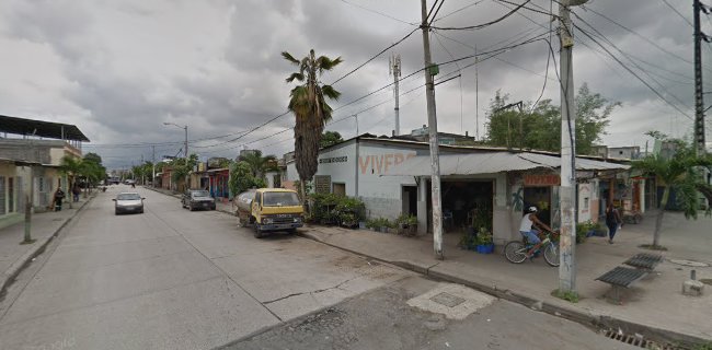 Jardines Y Plantas - Guayaquil
