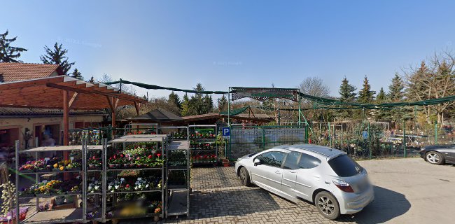 Értékelések erről a helyről: Zöld pont kertészeti áruda árai, Budakeszi - Kertészkedő