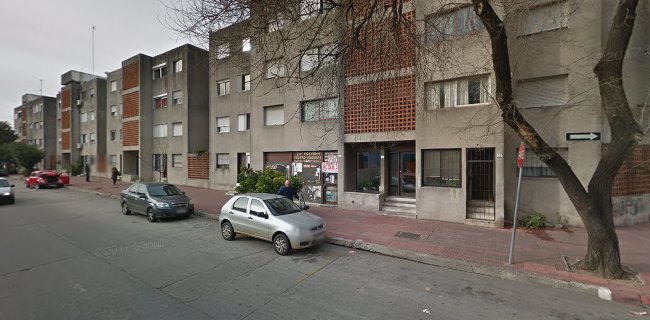 Lavadero Ave Fénix - Ciudad del Plata