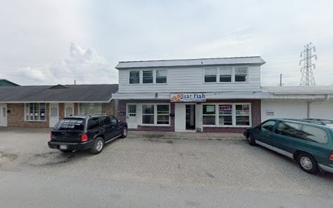 Pet Supply Store «Just Fish», reviews and photos, 205 E Garfield St # 1, Michigan City, IN 46360, USA