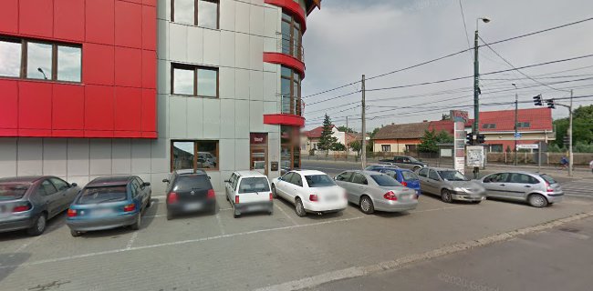 Strada Salcâmilor Nr.8, Timișoara 300425, România