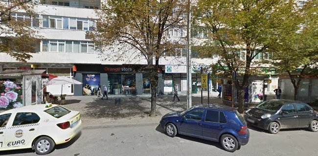 Strada Vasile Lupu nr. 83, Iași 700319, România