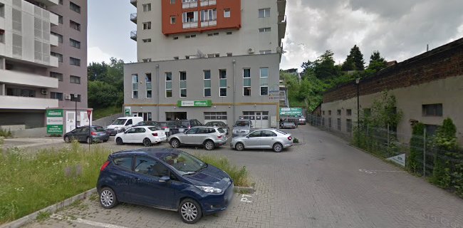 Opinii despre Portbagaje Auto Thule Pilkington Cluj în Cluj - Service auto
