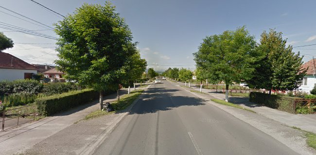 Strada Zaharia Bârsan 21, Sânpetru 507190, România