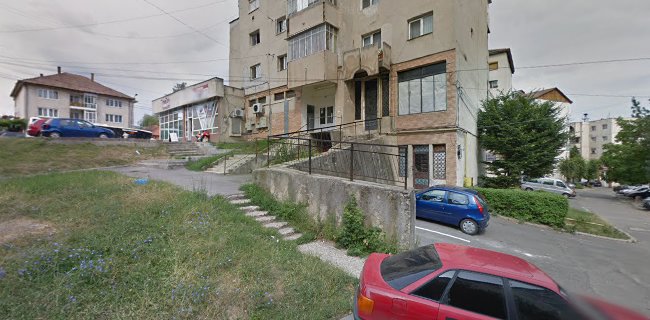 Strada Gheorghe Doja D 115, Zalău, România