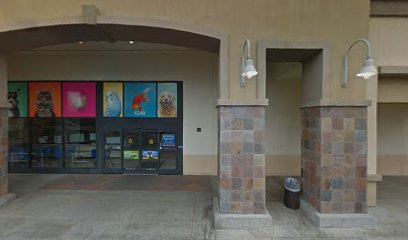 PetSmart Grooming